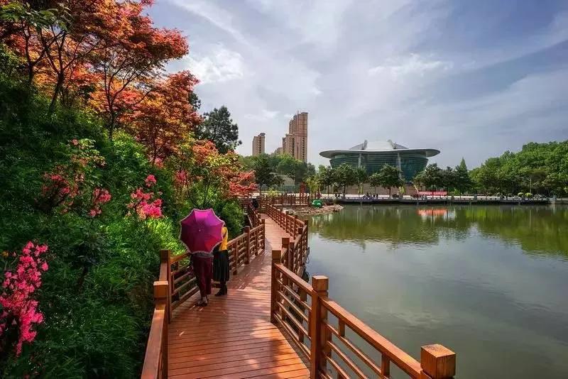 信阳师范大学终于来了，43年的老本科，河南第二师范高校加油！