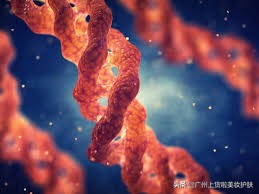 补充胶原蛋白真的能被皮肤吸收吗,你知道胶原蛋白对皮肤的作用吗