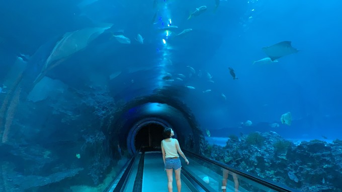 台湾自行车环岛游攻略,台湾环岛八日游最佳路线