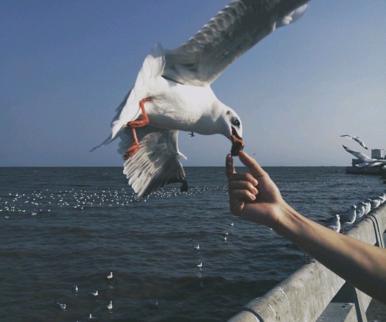 最好的时光遇见你免费观看,泰国5日经典旅游攻略