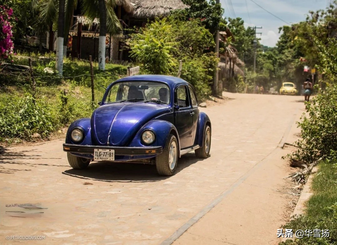 在这里你可以看到绚烂多彩的甲壳虫,因为他们是这里的精灵