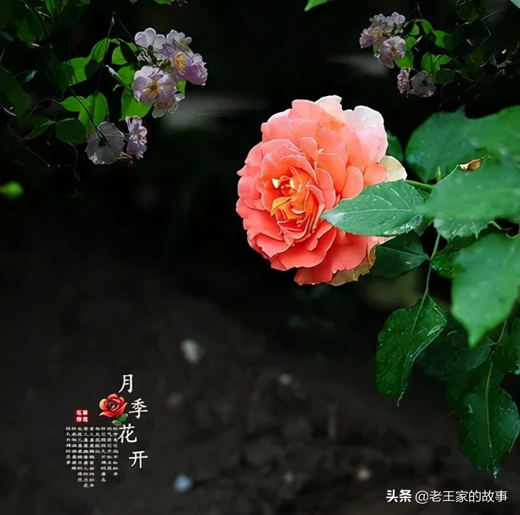 与人交谈的三大忠告,交谈的禁忌行为