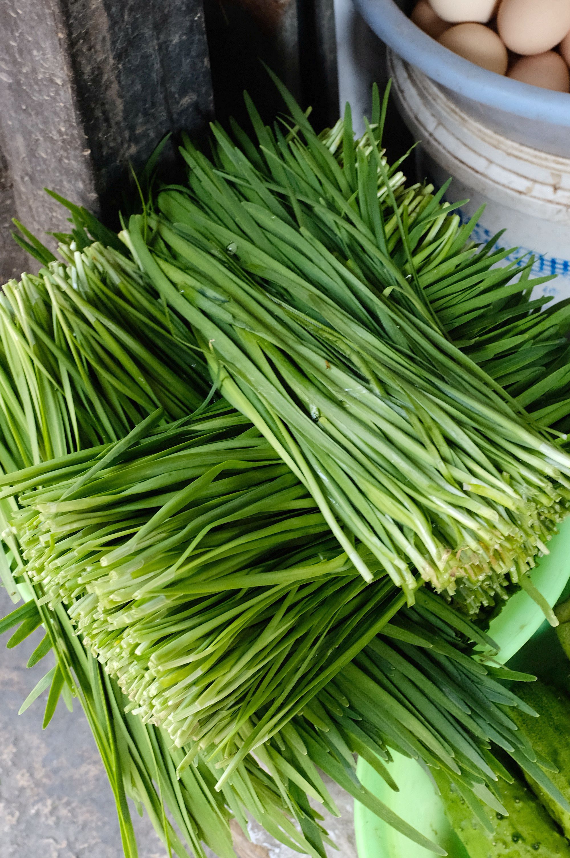 这么嗲的菜场你快点来逛呀