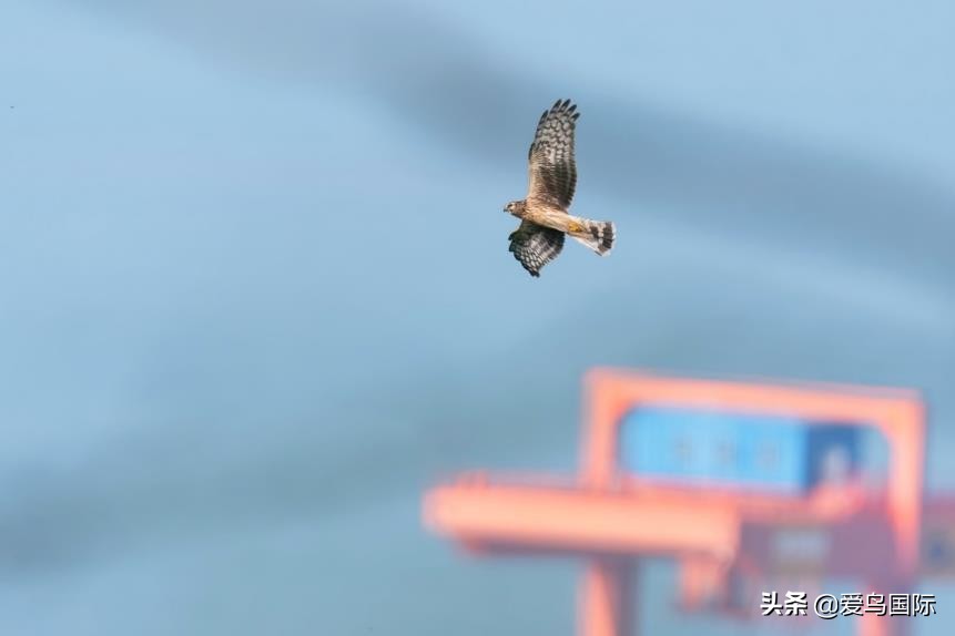 索尼selp1670镜头评测,索尼alpha9镜头