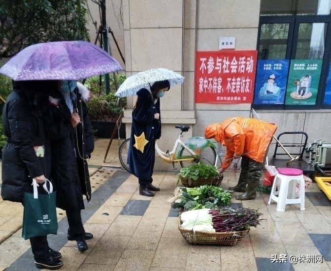 天元区：“流动菜市场”+“暖心代购”，一枝一叶总关情