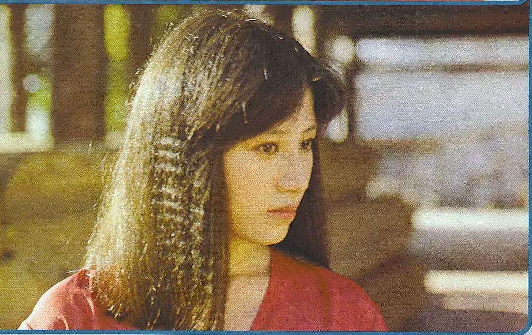 戴良纯结过几次婚,戴良纯毁容刀割伤