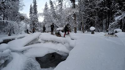 鍫瘮鐟炲+鐨勪腑鍥芥粦闆満,濯茬編鐟炲+
