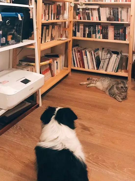 澶湁鐖变簡瀹屾暣瑙嗛,澶湁鐖变簡鍏ㄦ枃闃呰