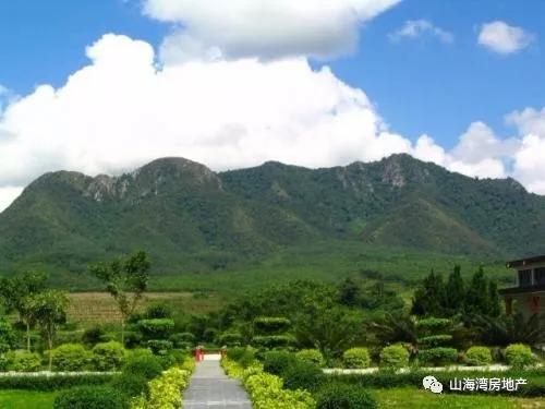 乐东县九所镇风景,候鸟的天堂在哪