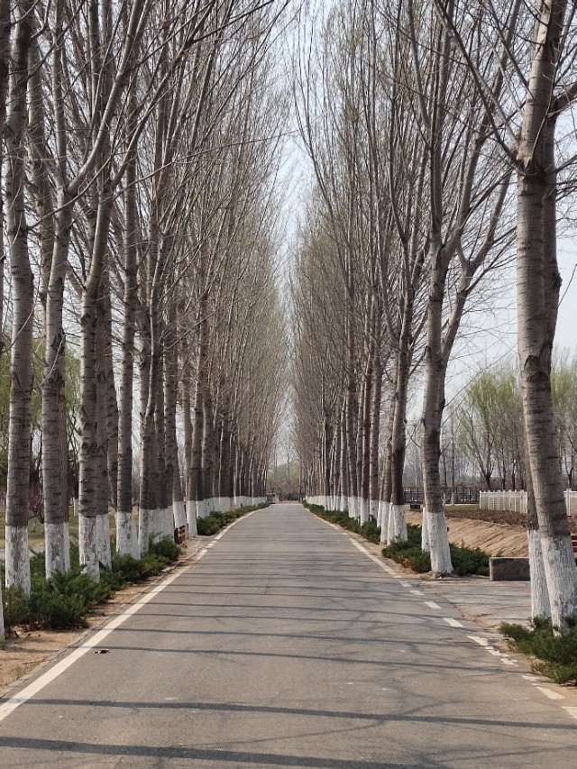 凡事物极必反极盛是灾祸的根源,凡事物极必反极盛就是灾难的根源