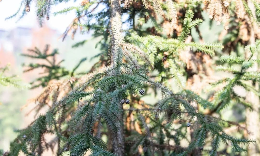 莫干山裸心谷门票,莫干山裸心谷团购