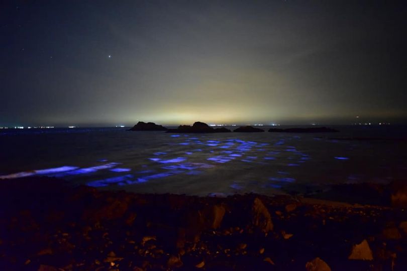 南极真的出现了血雪吗,南极出现血雪真的吗