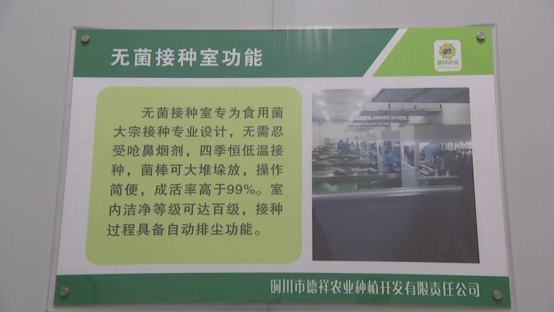 德祥农业种植开发,德祥农业大项目