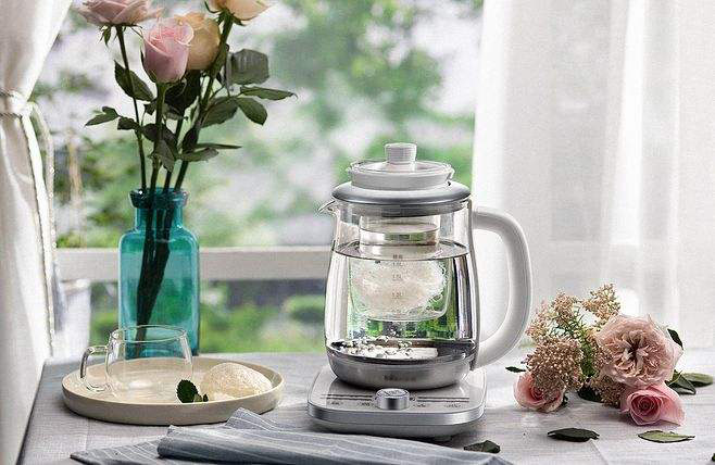 哪个牌子的养生壶最好用最安全,养生壶哪个牌子最好最实用