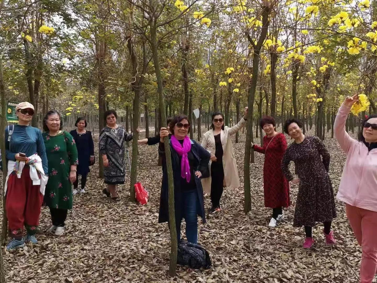 老协协会,老协有哪些活动