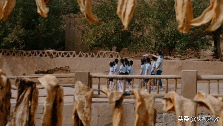 看八百里秦川,八百里火焰山地貌