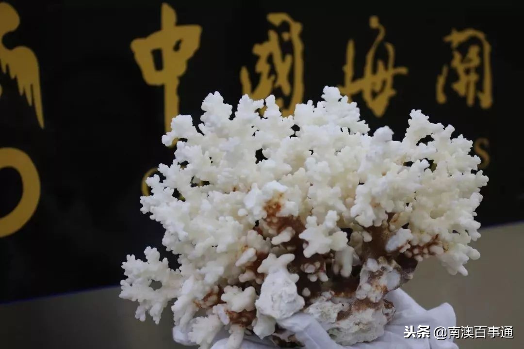 去港澳的汕头人注意！这些东西不要再带回来了！已有人被抓……