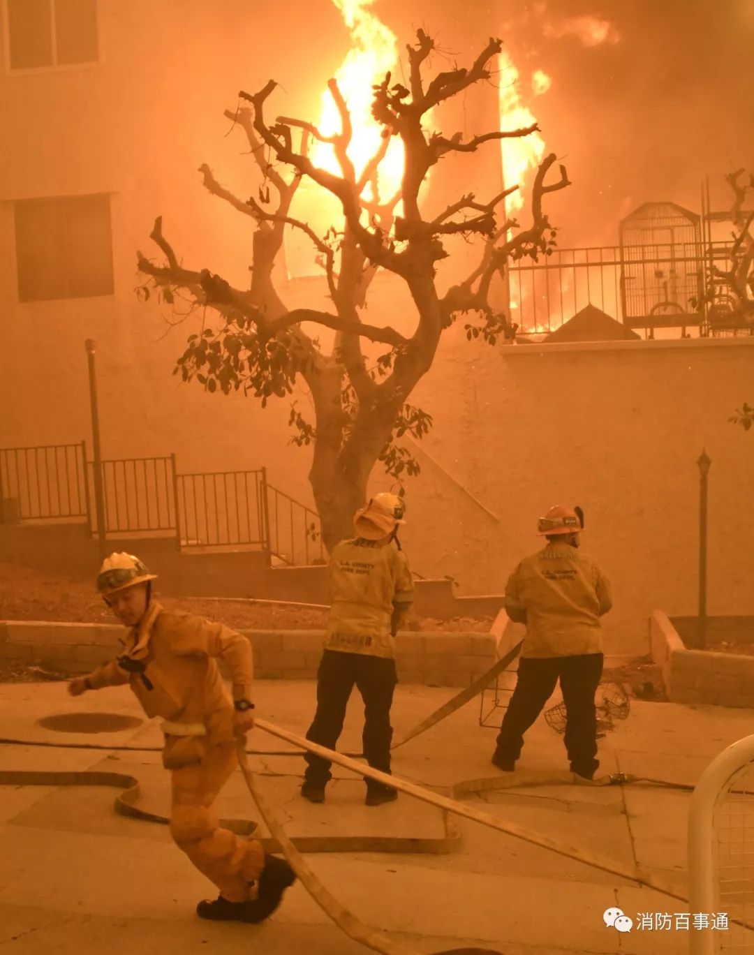 美国加州大火死了多少人,加州大火死多少人