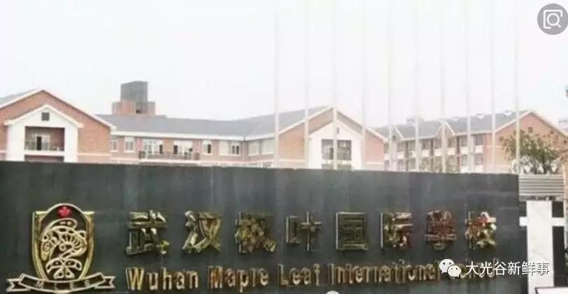 武汉江夏新建的学校,武汉江夏贵族小学