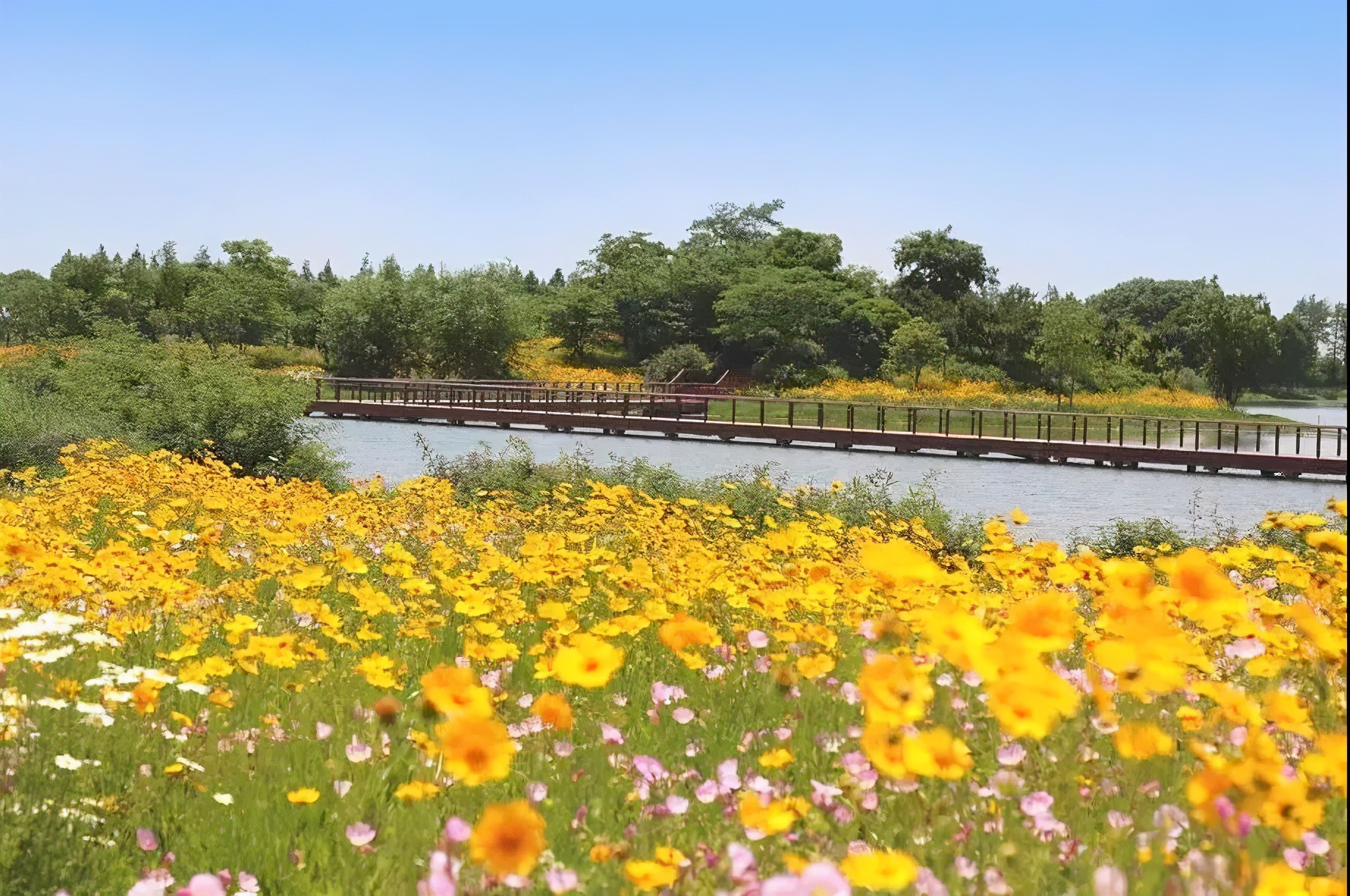 撩人无锡话,无锡锡城花路
