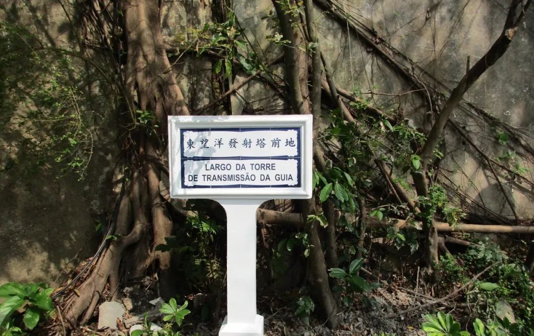 来澳门必游的景点,来澳门必逛的网红打卡景区