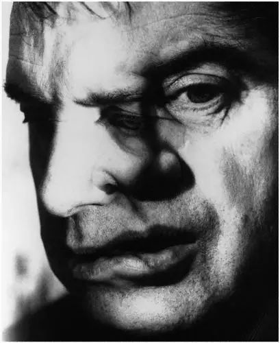 我的梦中情人就是你现在的样子,我的梦中情人是个盖世英雄句子