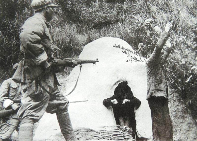 打击东北剿匪是哪一重大事件,最后被清剿的土匪