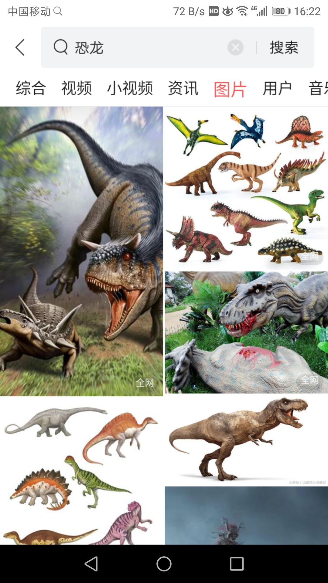 恐龙大量化石,恐龙各个时期都是什么化石