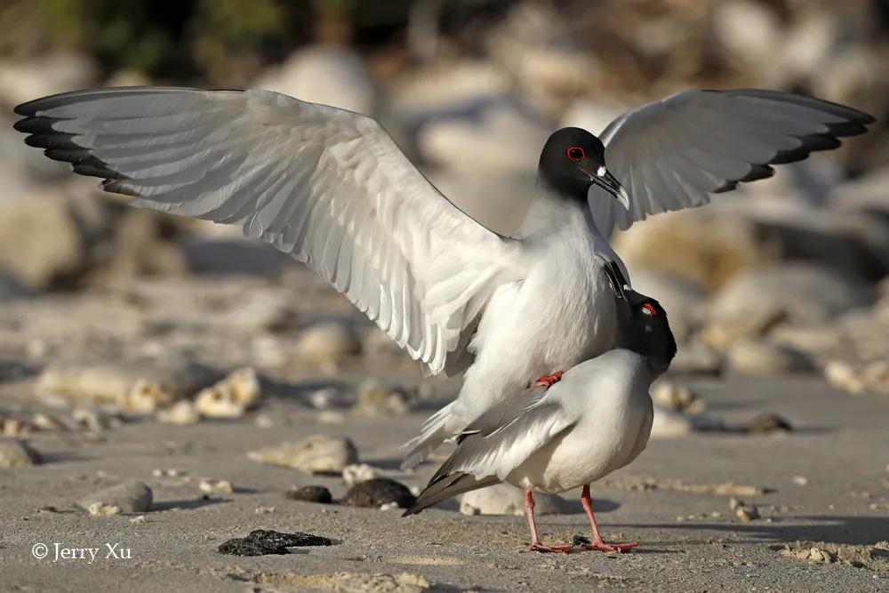 情人节适合干什么事,情人节对方做过最让你感动的事