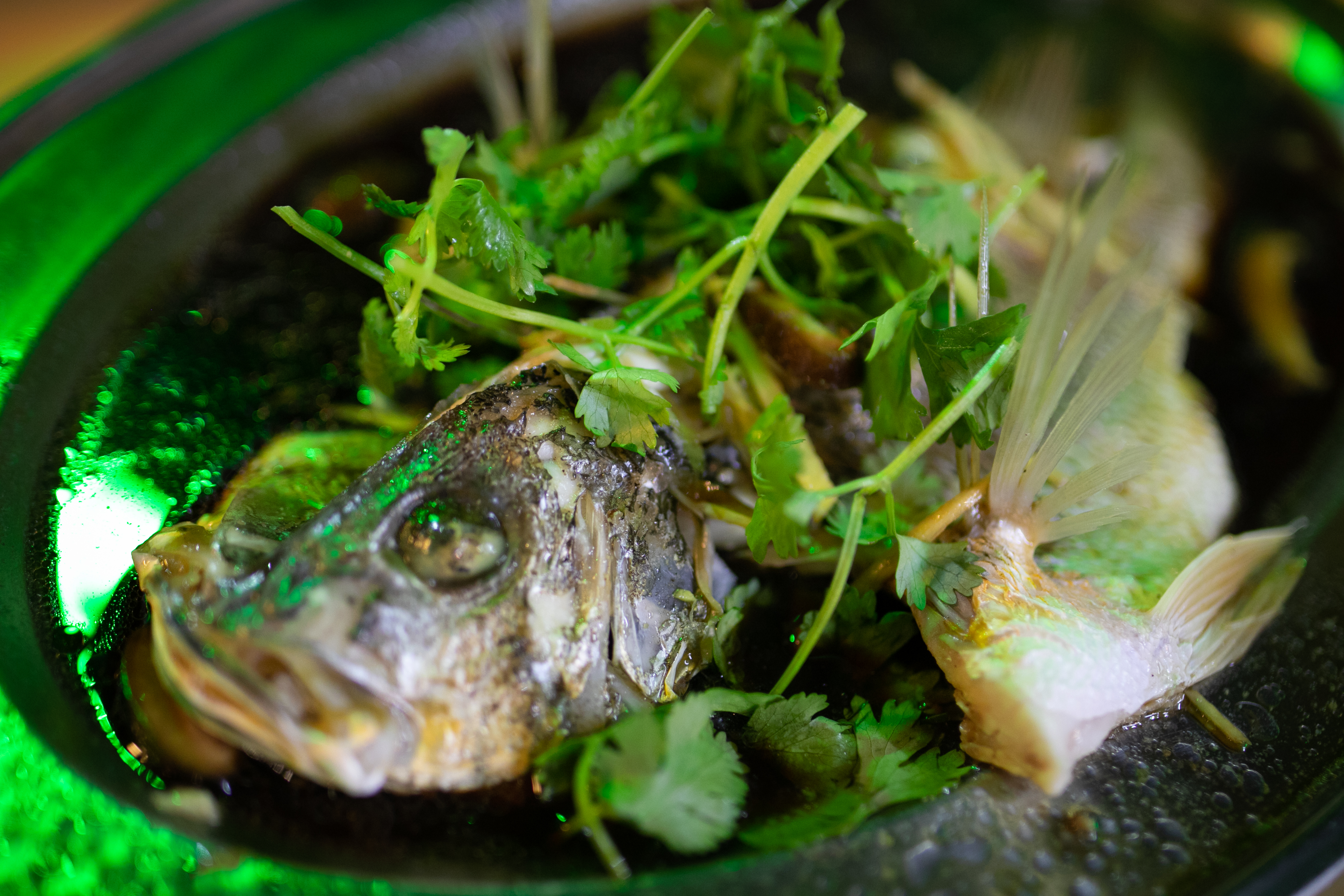 3000元人民币马来西亚旅游六天,4500元19天马来西亚穷游攻略