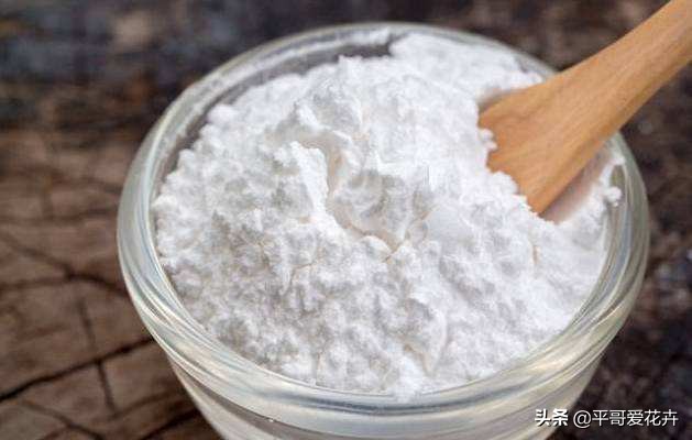 花盆有小飞虫快速消灭的药,花盆有小飞虫怎么消灭