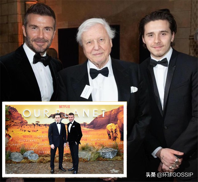 贝克汉姆复出,贝克汉姆喜羊羊与灰太狼