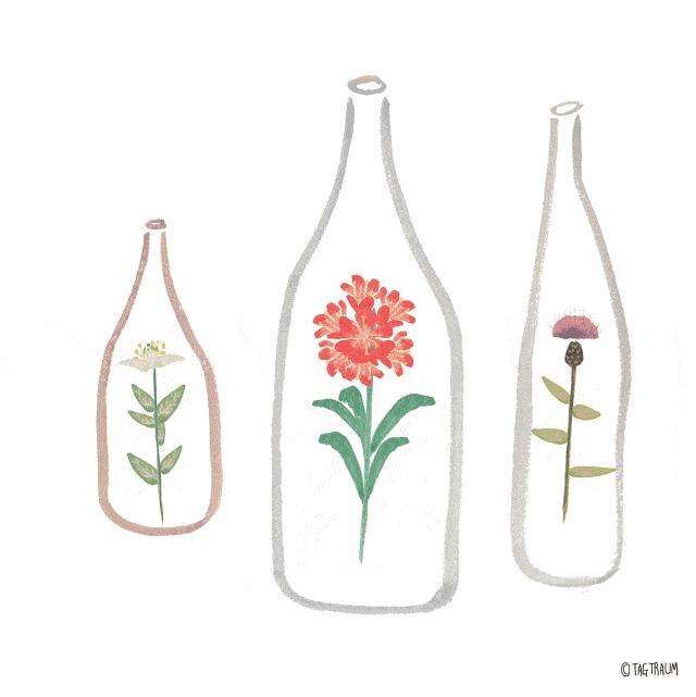 内江两日游最佳去处,内江附近有什么好耍的地方两日游