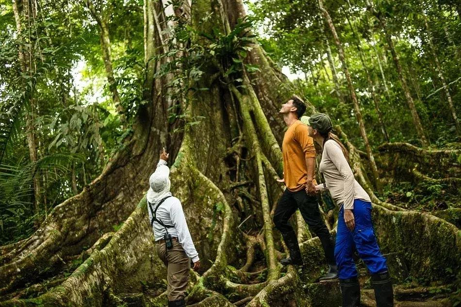 南美最美的3个月，住盐砖酒店，错过等明年