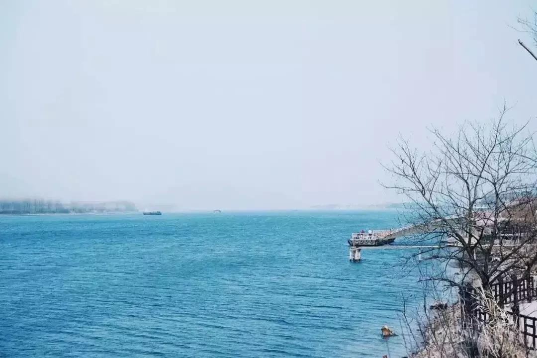 最美银杏秋景自驾攻略,杭州银杏树旅游攻略