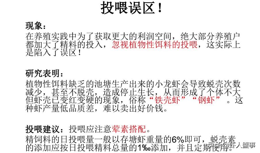 小龙虾养殖技术及收益分析,100斤小龙虾苗投喂饲料方法