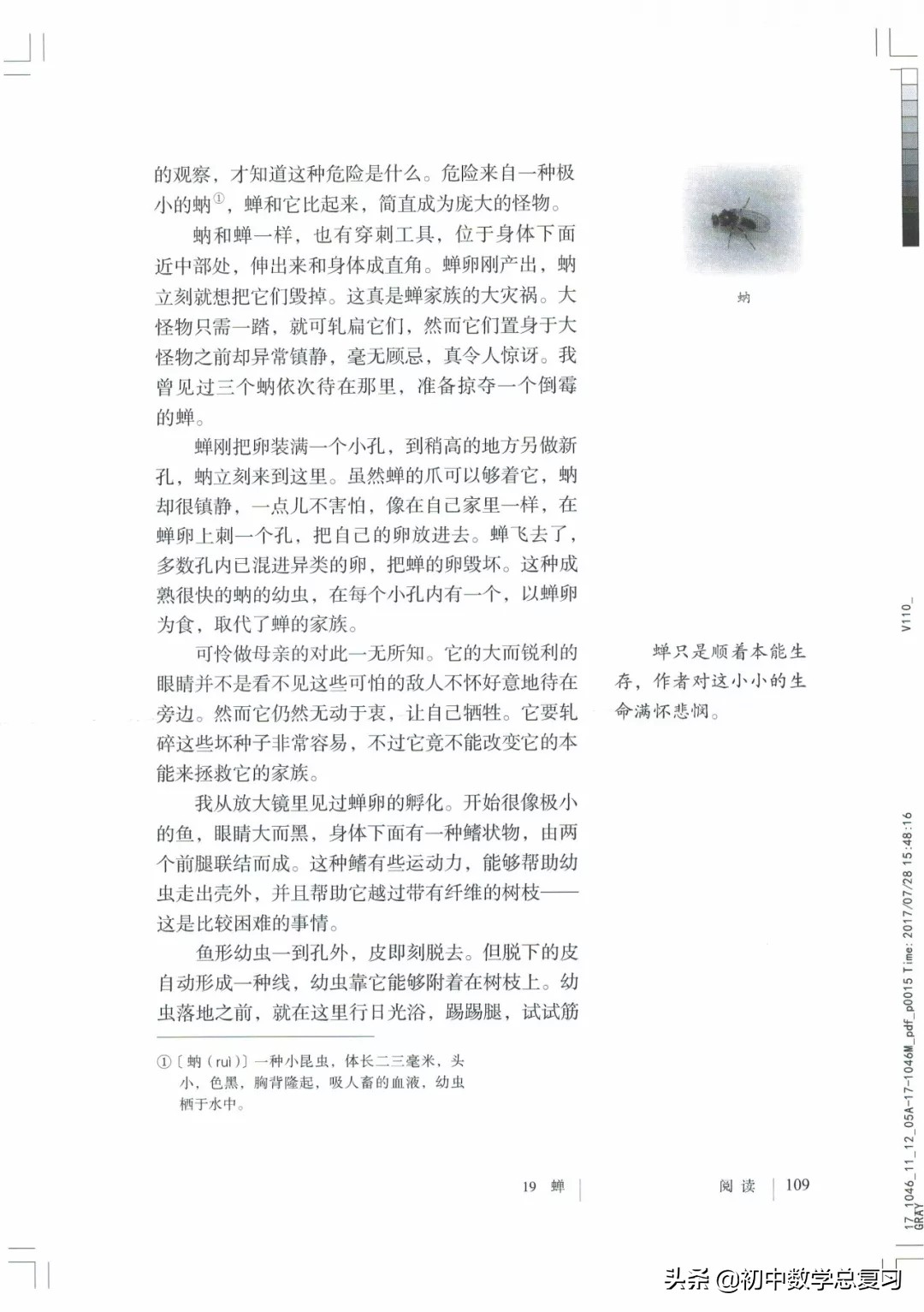 部编版八年级下册语文课本电子版,2021八年级上册语文书电子版人教