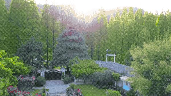 一个安徽爷爷，花1万块种出5000㎡私家花园，被评为中国最美