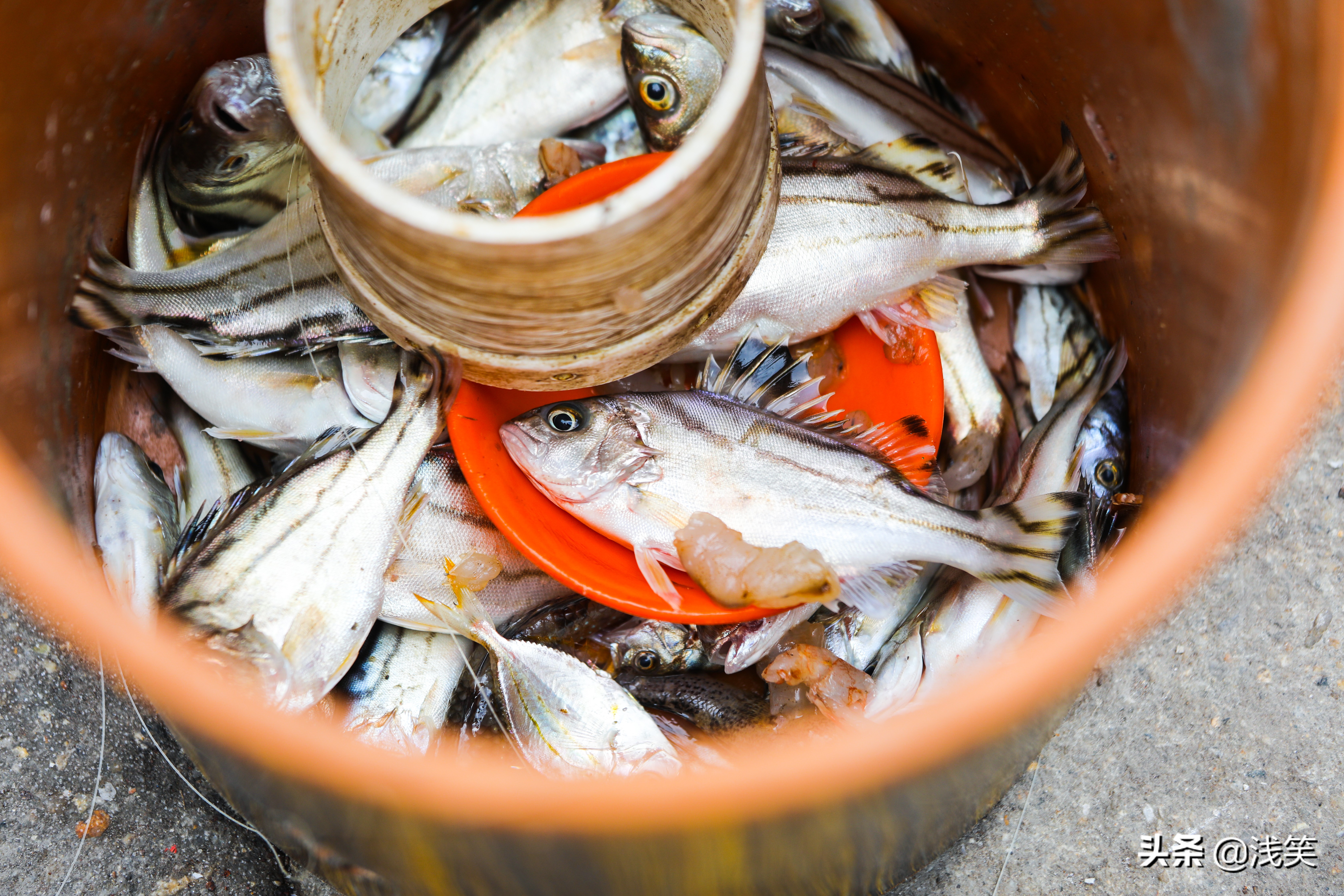 要看懂*江阳**,请走进渔村,这两个地方有意思