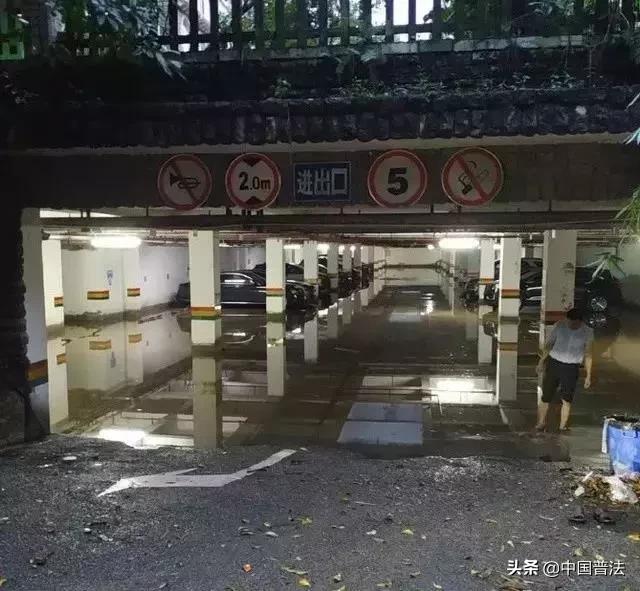 红色保时捷女司机打人后续,保时捷打人女最新处理