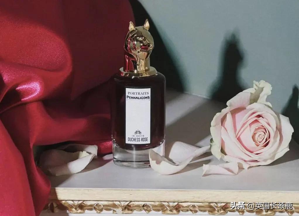 秋冬季节推荐的香水,秋冬香水橘彩星光