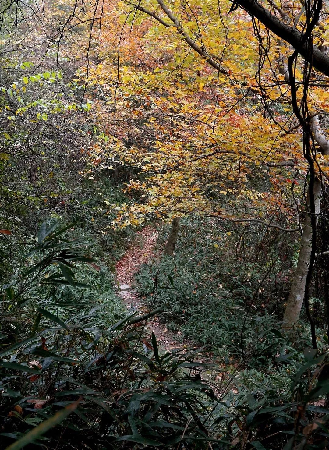 东钱湖徒步路线哪条最美,东钱湖附近有哪些免费古道