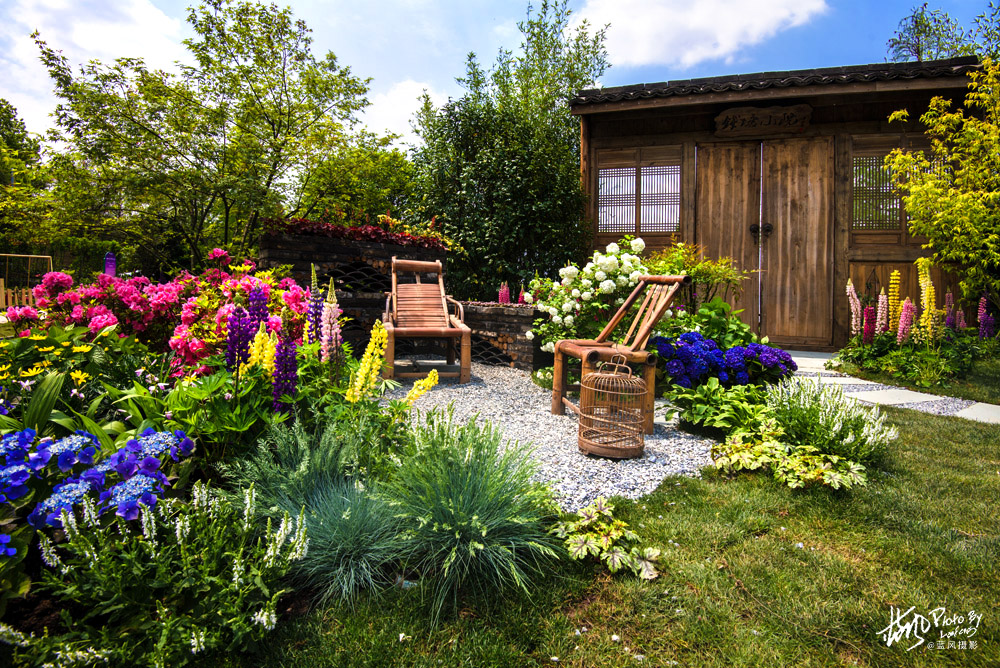 上海国际花展一览表,上海国际花展一览