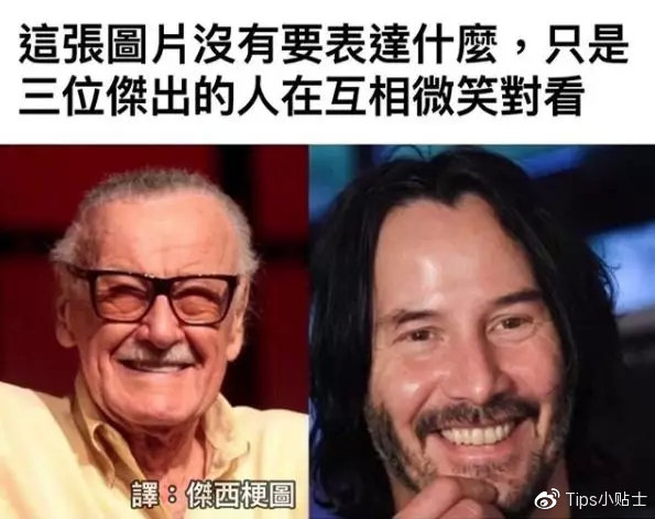 猫咪与自家小猫相处之道,怎么吸引猫咪让猫咪一直在你身边