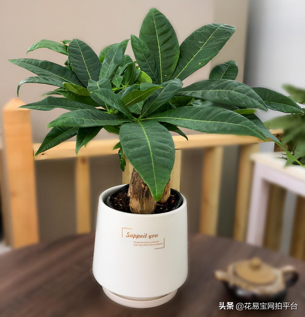 教师节幼儿园送什么礼物好,教师节送老师什么礼物合适