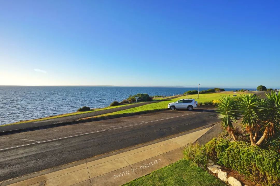 赴澳旅游注意,若带蜂蜜制品上岛,将被判两年监禁或8000澳元罚款