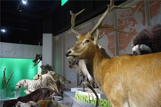 在成都生活如此的美好,在成都生活真好