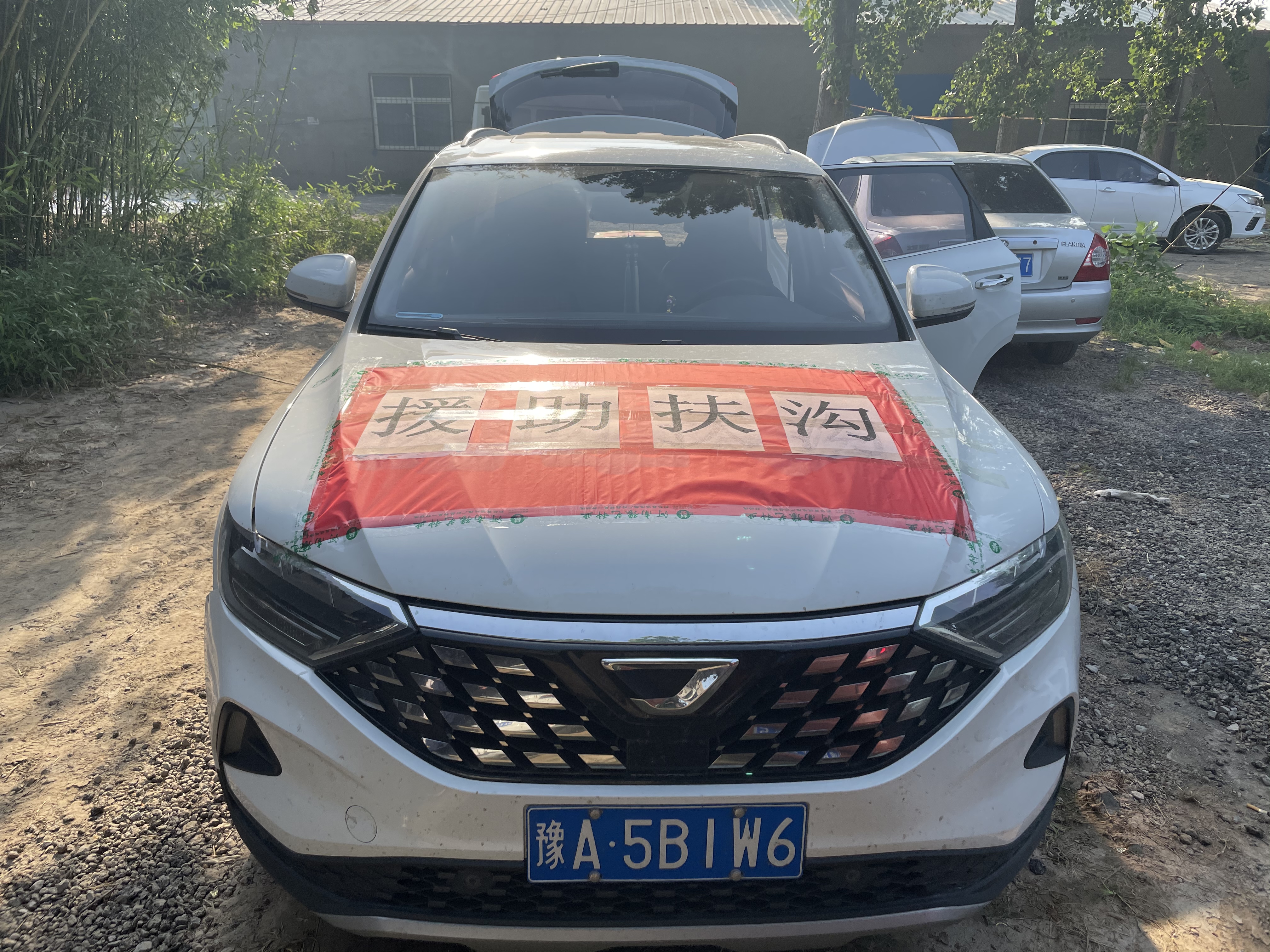 2900包种子：扶沟菜农的绿色希望