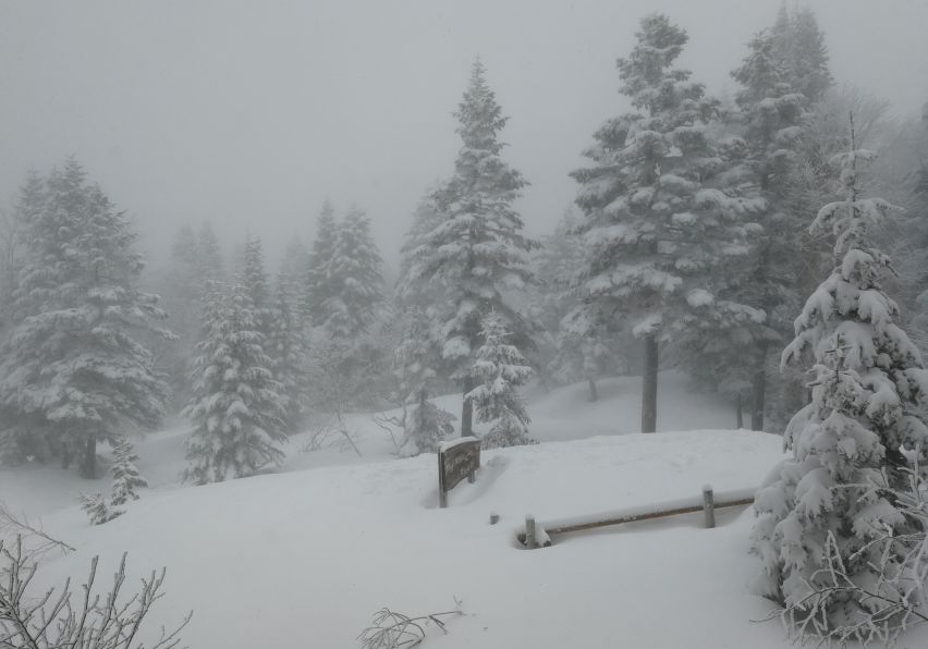 15天8000里,我们刚去名古屋和日本人抢了个五一假期