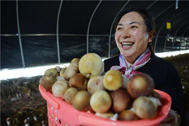 朝着梦想奋斗！12名广安人的新年心愿
